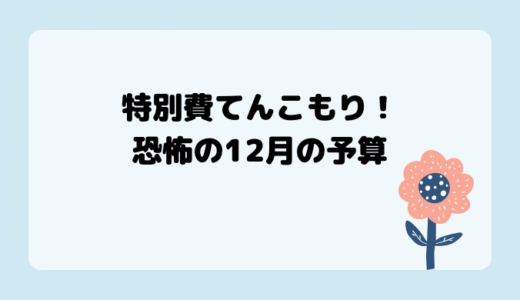 【お金、貯金、節約】特別費てんこもり！恐怖の12月の予算